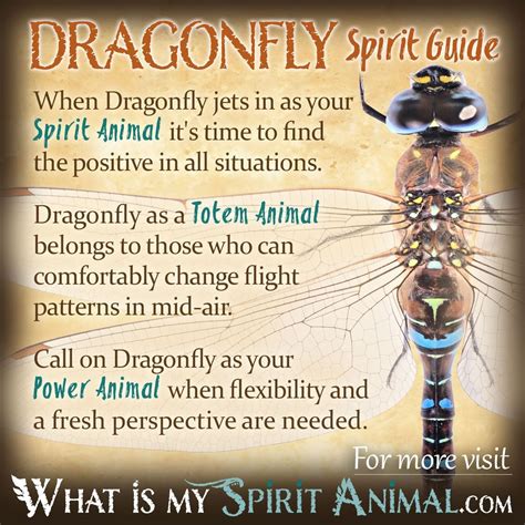 significance of dragonfly tattoo|spiritual meaning of dragonflies.